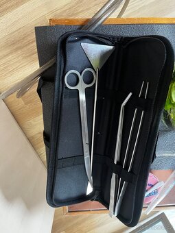 Prodám ryby + vybavení - 3