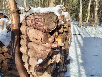Palivové dřevo prodám - 3