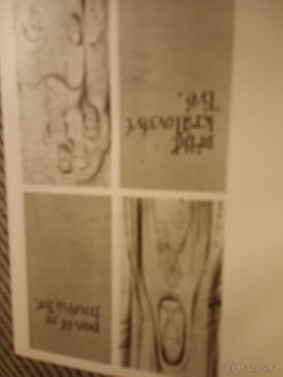 Žaluji Pankrácká kalvárie - 3