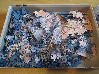 Puzzle 1000 Arktičtí  vlci - 3