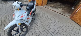 Yuki 125 Snake - 3