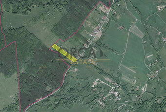 Prodej 0,6 ha zemědělských pozemků v k. ú. Lopeník - 3