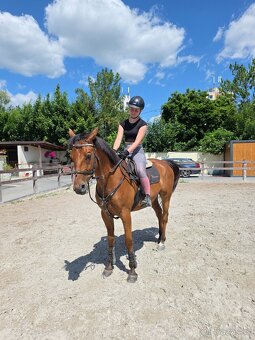 Valach na sport/rodinný parťák - 3