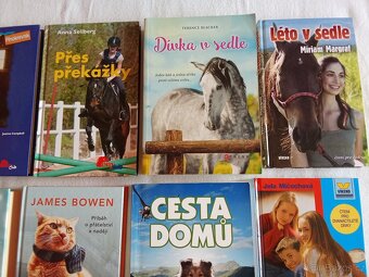 Knihy pro dívky - 3
