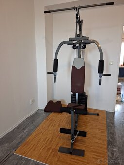 Posilovací věž TRINFIT Gym GX1 - 3