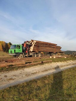 Lesovůz Tatra 815 EURO 2 epsilon - 3