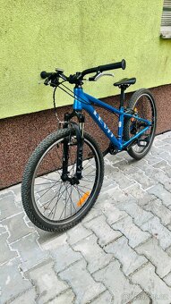 DĚTSKÉ KOLO LEVIT DRACO 24 - 3