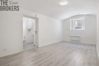 prodej komerčního prostoru 146 m2, Slezská 58, Praha - Vinoh - 3