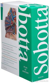 Sobottův anatomický atlas (angličtina a latina) - 3