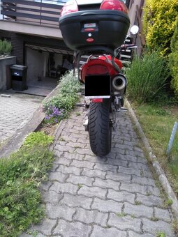 Honda CB600F Hornet - 3