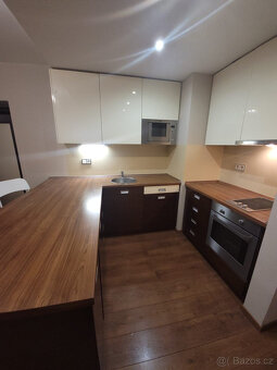 Pronájem bytu 2+kk, U Borského parku 2887/27, 52 m2 - 3