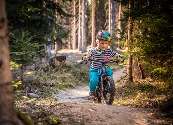 APARTMÁN V KRKONOŠÍCH /4os. - 3