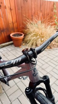 CTM DIRT KING EXPERT - 3