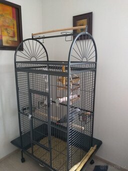 Žako -Roník - 3
