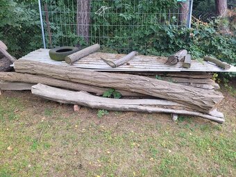 Prodám akátový špalek na štípání dřeva - 3