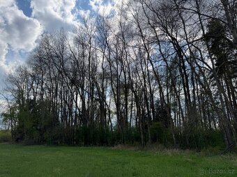 Prodám pozemky v k. ú. Holičky u Staré Hlíny - 3