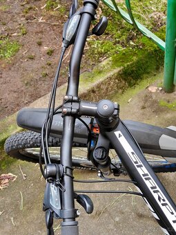 Bulls Sharptail 1 - 3