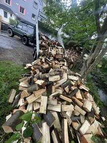 Palivové tvrdé dřevo - 3
