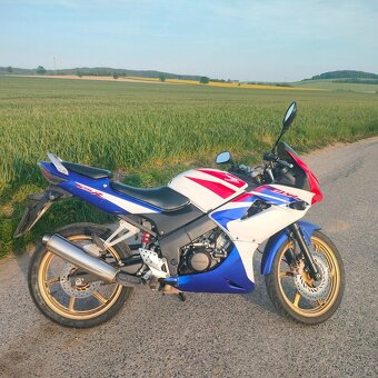 CBR124R 2010 - 3