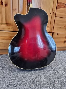 Gibsonka celomasiv - 3