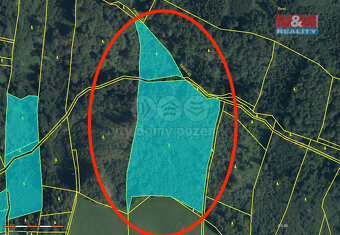 Prodej lesa, 29330 m², Horní Studénky - 3