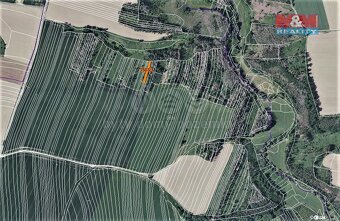 Prodej lesa, 372 m², Trhový Štěpánov - 3