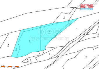 Prodej, les 8828m2, Olšany - 3