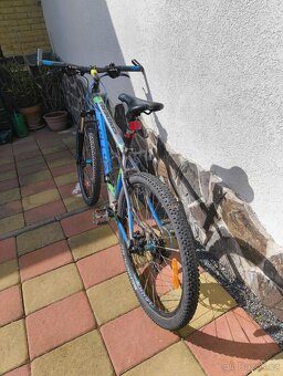 Kellys spider 30 - 3