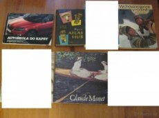 Historie, umění, aj. - literatura faktu, příručky - 3