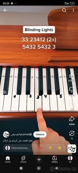 Audio monitor bronz 2 - 3