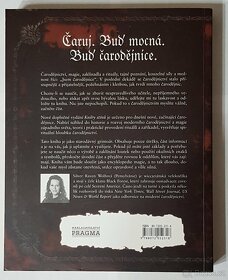 Kniha stínů , Silver Raven Wolf - 3