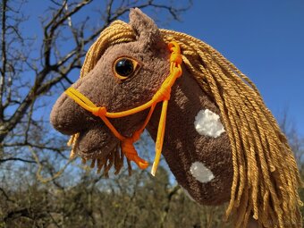 Hobby horse NOVÝ - 3