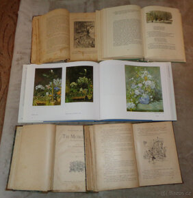 Knihy starší: Velcí impresionisté + Zlatý faraón - 3