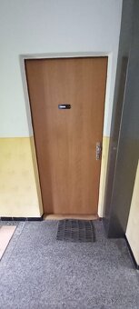 3+1 Dobřany 17 Listopadu přízemí , dlouhodobě - 3