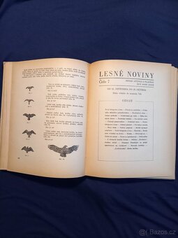 Lesné noviny - 3