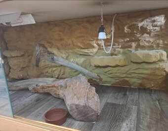 Prodám terárium - 3