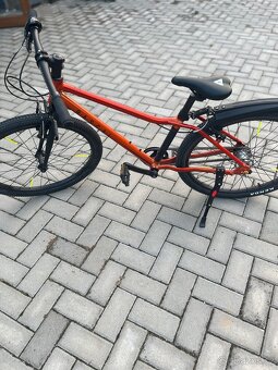 Rascal 24” - 3