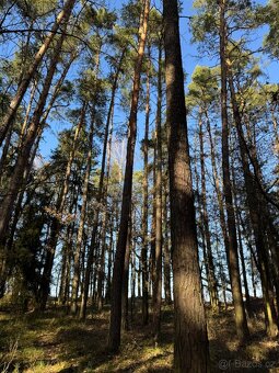 Prodám pozemky v katastrálním území Nemějice - 3