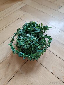 Svatební věci, dekorace, doplňky - 3