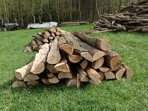 Suché palivové dřevo, dřevo na uzení, dubové kůly - 3