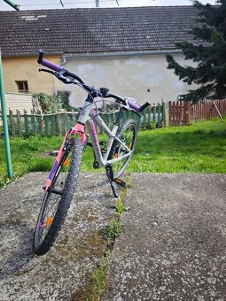Kolo rock Machine 24 - 3