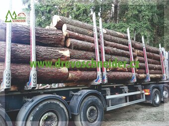 Palivové dřevo Písek - 3