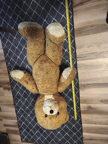 Velký mručící medvěd a malý medvídek. - 3