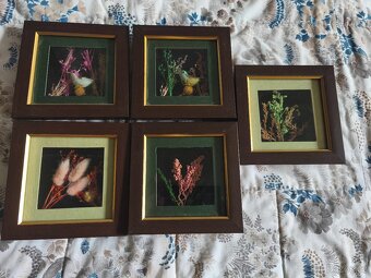 Obrazy, obrázky - 3