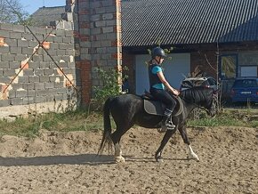 Pony kobylka - 3