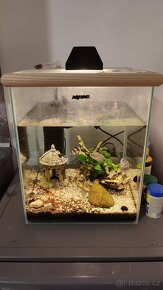 Aquarium set - 3