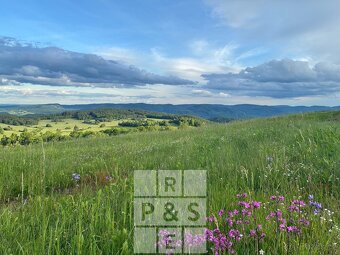 Prodej pozemky - trvalý travní porost, 421 000 m2 - Domašín - 3