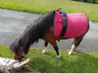 Pony - 3