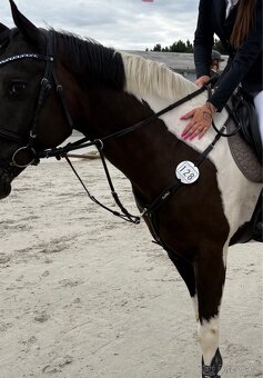 poprsnik kentaur - 3