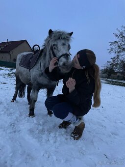 Pony kobyla - 3